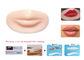 Silikon-dauerhafte dauerhafte Make-uppraxis-Haut für die Lippen, die Modul 4D ausbilden