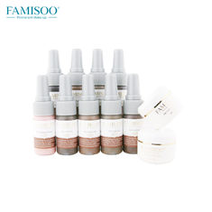 dauerhafte Make-upausrüstungs-flüssiges Pigment 15ml/Bottle Famisoo eingestellt für Augenbraue