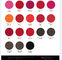 Färben Sie positive Mikropigment-Tinte für Lippen/Augenbraue/Eyeliner 19 optionale Farben